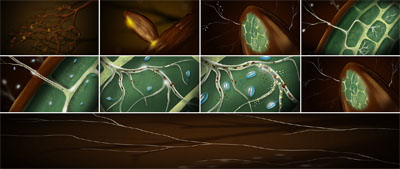 Giants Rising | Wireframe 3D scene for Water Transport | Video by Little Fluffy Clouds a Bay Area Animation Studio